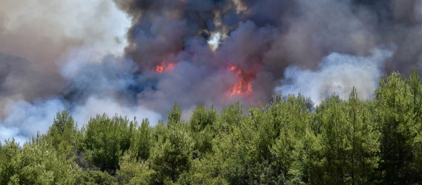  Ανεξέλεγκτες οι πυρκαγιές κατακαίουν Αργολίδα και Χαλκίδα - Πού είναι τα πυροσβεστικά αεροσκάφη της κυβέρνησης;